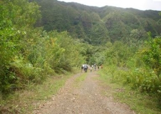  wonderful paths 